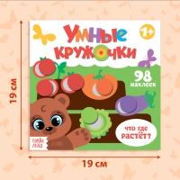 Книга с наклейками &laquo;Умные кружочки. Что, где растёт?&raquo;, 12 стр.