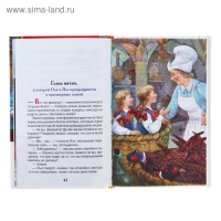 &laquo;Королевство кривых зеркал&raquo;, Губарев В. Г.