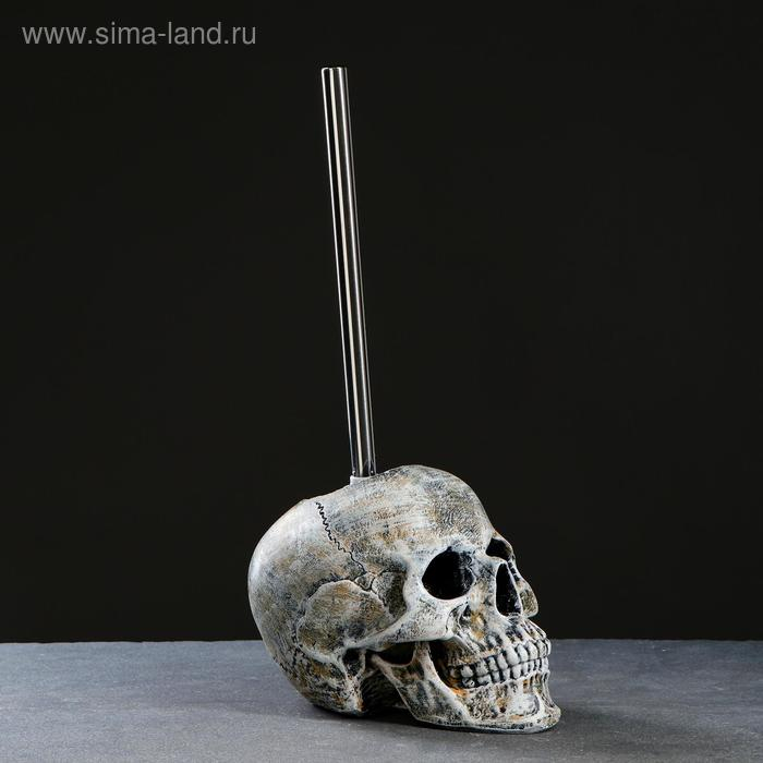 Подставка под ёрш Подставка под ёрш "Череп" 16х15х22см (ершик н/сталь)