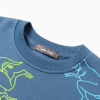 Свитшот для мальчиков, цвет джинсовый/дино, рост 98 см