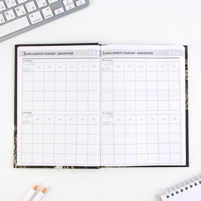 Набор &laquo;Золотой учитель&raquo;: ежедневник А5 160 листов, планинг 50 листов и ручка пластик