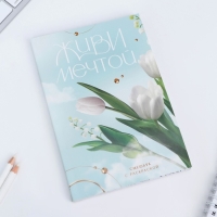 Смешбук с раскраской А5, 80 л &laquo;Живи мечтой&raquo;