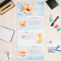 Календарь квартальный трио "Пушистая радость" 2025 год, 29,7 х 65,5 см Календарь квартальный трио "Пушистая радость" 2025 год, 29,7 х 65,5 см