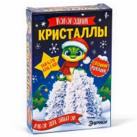 Набор для опытов &laquo;Новогодние кристаллы&raquo;, со змеей