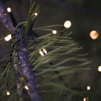 Гирлянда «Нить» 10 м, IP44, УМС, тёмная нить, 72 SMD-LED, свечение тёплое белое, 220 В Гирлянда «Нить» 10 м, IP44, УМС, тёмная нить, 72 SMD-LED, свечение тёплое белое, 220 В