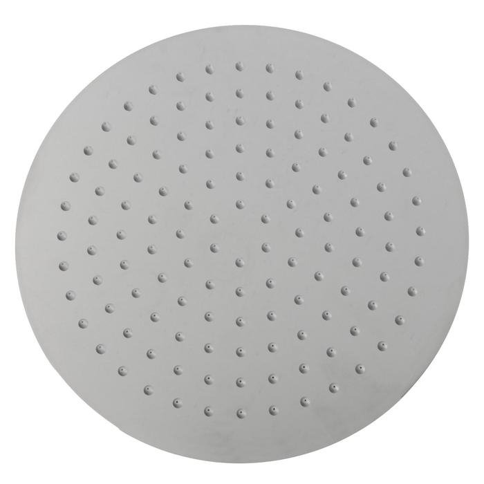 Душевая лейка Accoona А358, тропическая, d=25 см, круг, нержавеющая сталь Душевая лейка Accoona А358, тропическая, d=25 см, круг, нержавеющая сталь