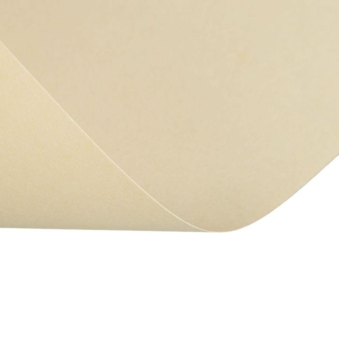 Бумага цветная А4, 50 листов Calligrata Пастель, оранжевая, 80 г/м² Бумага цветная А4, 50 листов Calligrata Пастель, оранжевая, 80 г/м²