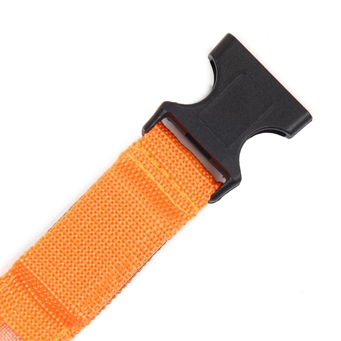 Ошейник с подсветкой размер S, ОШ 35-43 х 2,5 см, 3 режима свечения оранжевый Ошейник с подсветкой размер S, ОШ 35-43 х 2,5 см, 3 режима свечения оранжевый