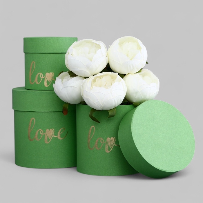 Набор шляпных коробок Love 3 в 1 зеленое яблоко, 15 х 16 - 10,5 х 11 см Набор шляпных коробок Love 3 в 1 зеленое яблоко, 15 х 16 - 10,5 х 11 см