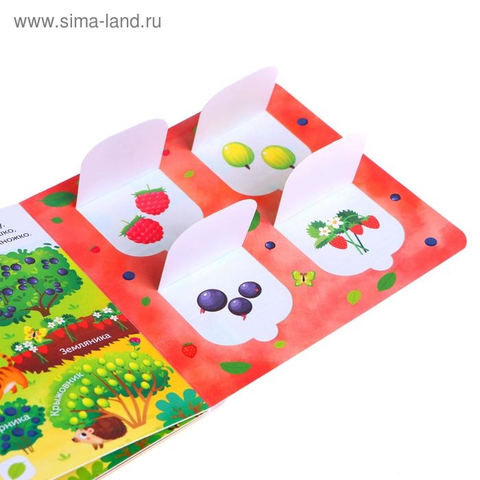 Книга картонная с окошками &laquo;В лесу, саду и огороде&raquo;, 10 стр.