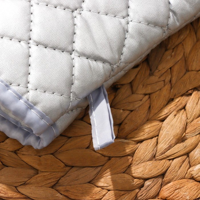 Набор прихваток &laquo;Профи&raquo;, 2 шт, 30&times;16&times;2 см, цвет серый