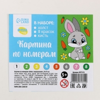 Картина по номерам для детей &laquo;Зайка с морковками&raquo;, 21 х 15 см