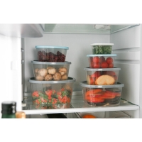 Контейнер пищевой RICCO, 2,65 л, 21,5&times;21,5&times;10 см, квадрат, цвет прозрачный, крышка голубая