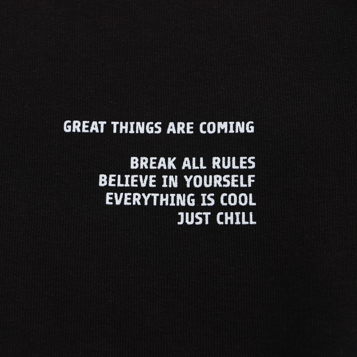 Свитшот для мальчика, цвет чёрный, размер 116 см Свитшот для мальчика, цвет чёрный, размер 116 см