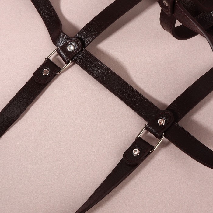 Портупея для сумки из искусственной кожи, 43 × 35 × 15 см, цвет коричневый/серебряный Портупея для сумки из искусственной кожи, 43 × 35 × 15 см, цвет коричневый/серебряный