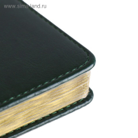 Ежедневник недатированный А5+, 136 листов Sidney Nebraska, твёрдая обложка, искусственная кожа, золотой срез, зелёный