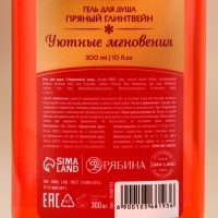 Гель для душа, 300 мл, аромат пряного глинтвейна, Новый Год Гель для душа, 300 мл, аромат пряного глинтвейна, Новый Год
