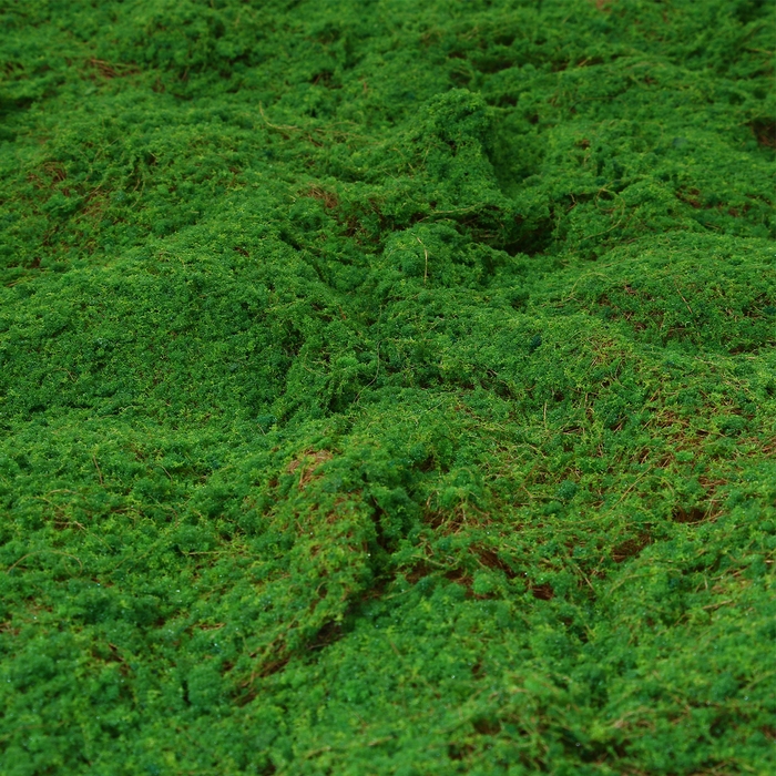 Мох искусственный, декоративный, полотно 1 × 1 м, зелёный, Greengo Мох искусственный, декоративный, полотно 1 × 1 м, зелёный, Greengo