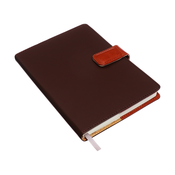 Органайзер на кольцах, А5, 128л, клетка, обл.кожзам, с хлястиком, Бизнес, коричневый Органайзер на кольцах, А5, 128л, клетка, обл.кожзам, с хлястиком, Бизнес, коричневый