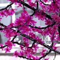 Светодиодное дерево &laquo;Баугиния&raquo; 2 м, 864 LED, постоянное свечение, 220 В, свечение фиолетовое