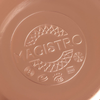 Чайник со свистком из нержавеющей стали Magistro Glow, 3 л, индукция, ручка soft-touch, цвет бронзовый Чайник со свистком из нержавеющей стали Magistro Glow, 3 л, индукция, ручка soft-touch, цвет бронзовый