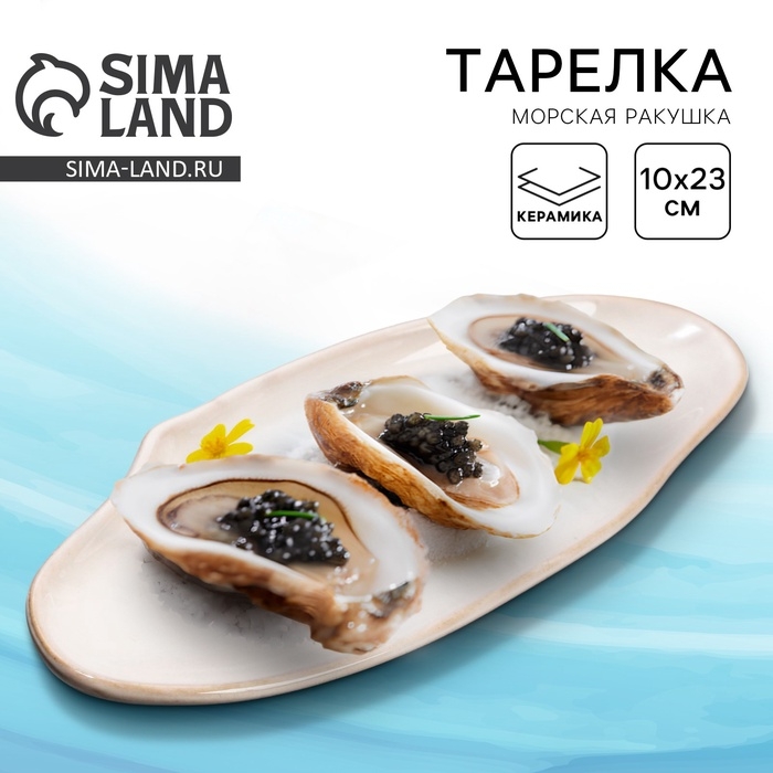 Тарелка керамическая «Морская ракушка», 10 х 23 см белая, цвет белый Тарелка керамическая «Морская ракушка», 10 х 23 см белая, цвет белый