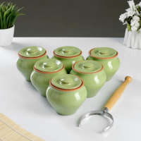 Набор "Вятская керамика №6" 0,5х6 + ухват, салатовый Набор "Вятская керамика №6" 0,5х6 + ухват, салатовый