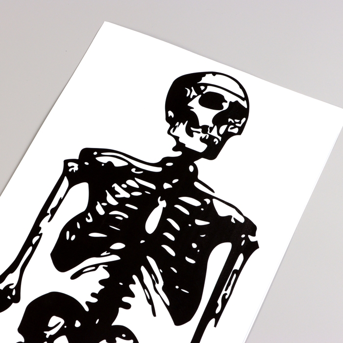 Наклейка 3Д интерьерная Скелет 90*30см Наклейка 3Д интерьерная Скелет 90*30см