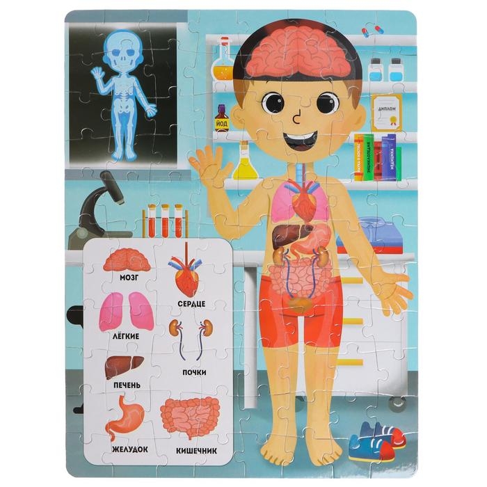 Пазлы светящиеся &laquo;Рентген-кабинет&raquo;, 88 деталей