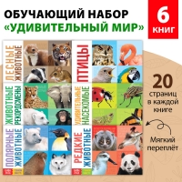 Обучающие книги набор &laquo;Удивительный мир&raquo; 6 шт. по 20 стр.