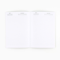 Новый год. Ежедневник в мягкой обложке А5, 80 л &laquo;Верь в мечту!&raquo;