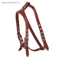 Шлейка кожаная "Прогулочная", 1,5 см, ОШ35-50 см, ОГ 60-68 см, чёрный Шлейка кожаная "Прогулочная", 1,5 см, ОШ35-50 см, ОГ 60-68 см, чёрный