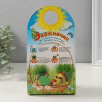 Растущий подарок травка Экоживчик "Кактус в горшочке" белый Растущий подарок травка Экоживчик "Кактус в горшочке" белый