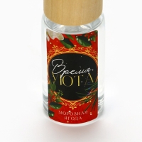 Аромадиффузор ароматический палочки &laquo;Новогодняя коллекция: Волшебных моментов&raquo;, аромат морозная ягода, 30 мл