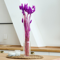 Сухоцветы &laquo;Лагурус&raquo;, набор 30 шт., цвет светло-фиолетовый