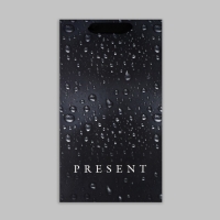 Пакет подарочный под две бутылки, упаковка, Black, 35 х 20 х 9 см Пакет подарочный под две бутылки, упаковка, Black, 35 х 20 х 9 см