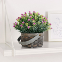 Бонсай "Нежное цветение в корзиночке" 9х13 см, микс Бонсай "Нежное цветение в корзиночке" 9х13 см, микс