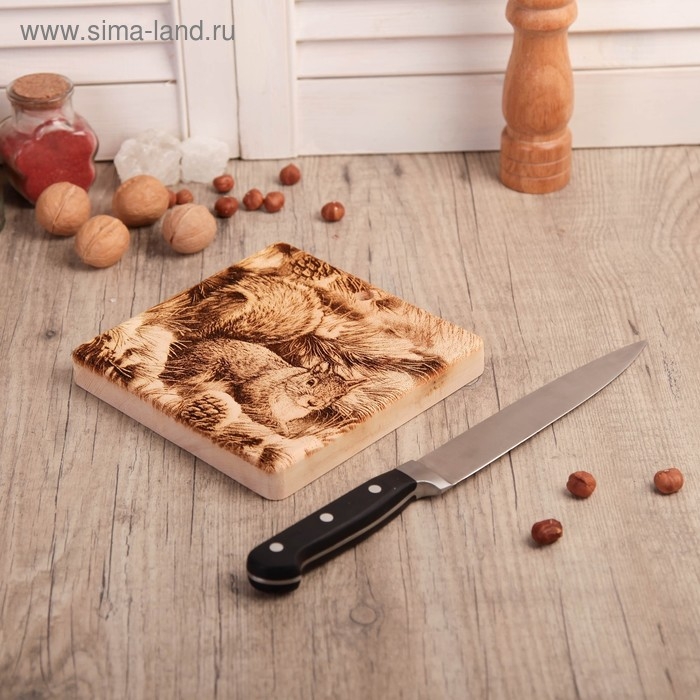 Доска из массива кедра &laquo;Белочка на ветке&raquo;, квадратная, 18 &times; 18 см