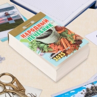 Календарь отрывной "Народный лечебник" 2025 год, 7,7 х 11,4 см Календарь отрывной "Народный лечебник" 2025 год, 7,7 х 11,4 см