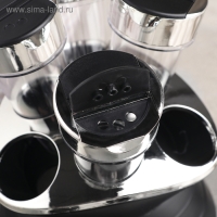 Набор для специй &laquo;Конус&raquo;, 100 мл, на подставке, 6 шт