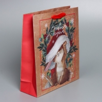 Пакет подарочный новогодний крафтовый вертикальный «Новогодняя пора», M 26 х 30 х 9 см, Новый год Пакет подарочный новогодний крафтовый вертикальный «Новогодняя пора», M 26 х 30 х 9 см, Новый год