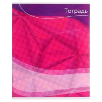 Комплект тетрадей из 5 штук, 48 листов в линию Calligrata "Графика-2", обложка мелованный картон, блок №2, белизна 75% (серые листы)