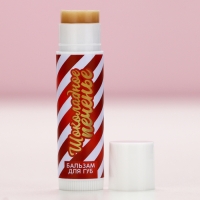 Бальзам для губ, 10 г, аромат шоколадного печенья, Новый Год