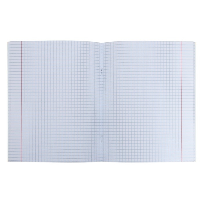 Тетрадь 96 листов клетка Тетрадь 96 листов клетка "Fantastic animals", обложка мелованный картон, матовая ламинация, 3D лак, блок 60 г/м2, МИКС