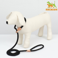 Поводок-удавка 150 х 1 см, полиэстер и натуральная кожа, чёрный Поводок-удавка 150 х 1 см, полиэстер и натуральная кожа, чёрный