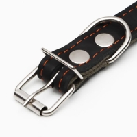 Ошейник комбинированный кожа/брезент, безразмерный, 54 х 2.5 см, ОШ 17-45 см, чёрный Ошейник комбинированный кожа/брезент, безразмерный, 54 х 2.5 см, ОШ 17-45 см, чёрный