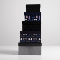 Набор коробок 5 в 1, упаковка подарочная, &laquo;Джентльмен&raquo;, 14 х 14 х 8 ‒ 22 х 22 х 12 см