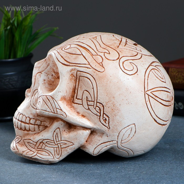 Копилка Копилка "Череп" бежевая, 17х13см