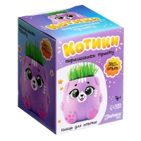 Набор для опытов «Котики. Выращиваем травку», фиолетовый горшочек Набор для опытов «Котики. Выращиваем травку», фиолетовый горшочек