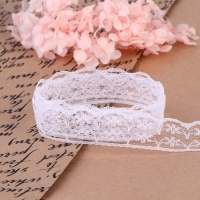 Кружево капроновое, 23 мм &times; 10 &plusmn; 1 м, цвет белый №10